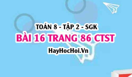 Bài 16 trang 86 Toán 8 Tập 2 Chân trời sáng tạo